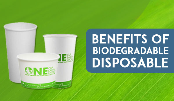 BENEFITS OF BIODEGRADABLE DISPOSABLE